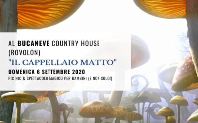 IL CAPPELAIO MATTO PRESSO IL COUNTRY HOUSE BUCANEVE